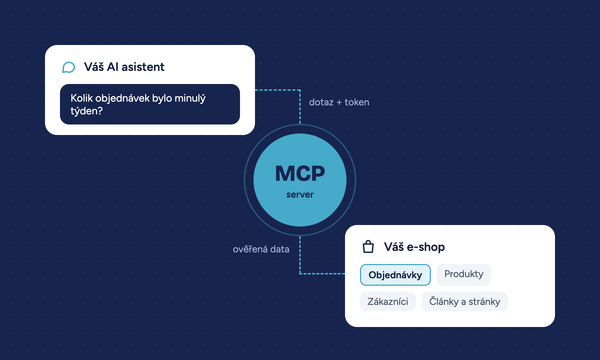 AI asistent pro váš web nebo e-shop: MCP server od Netservisu