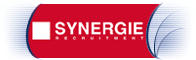 Prezentace personální agentury Synergie