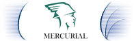 Corporate identity pro Mercurial Group s.r.o.